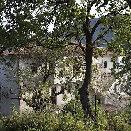 Kavoulakos Studios 斯科达利昂 外观 照片