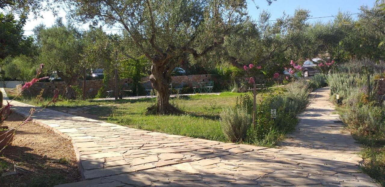 Kavoulakos Studios 斯科达利昂 外观 照片